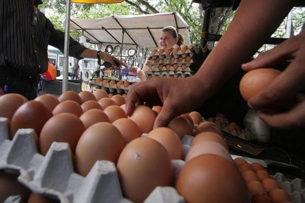 El salario mínimo alcanza para medio cartón de huevos