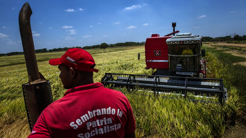 COPEI denuncia cobro de vacuna a productores de arroz en Guárico
