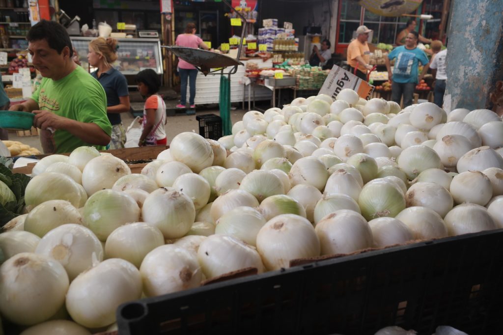 El Salario mínimo se reduce a medio kilo de cebolla en Guàrico