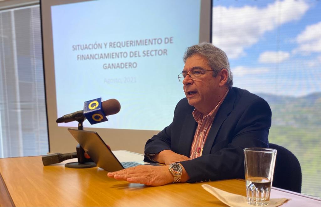 Fedenaga y Ciudadanía en Acción: Agricultura venezolana necesita una política de regeneración con créditos y confianza