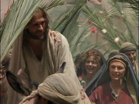 Domingo de Ramos: ¿por qué Jesús llega en un burrito?