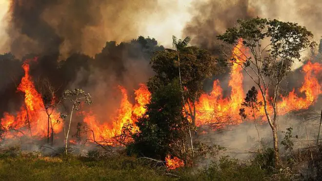 Más de 3 mil incendios forestales se han registrado en Venezuela