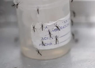Alerta epidemiológica por más de 3 mil muertes por dengue