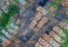 Venezuela amplía estrategias contra la deforestación