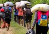 El 64% de los migrantes que cruzado el Darién son venezolanos