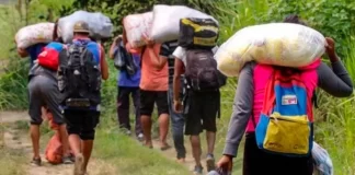 El 64% de los migrantes que cruzado el Darién son venezolanos
