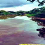 Abren “trochas” tras desbordamiento del río Amana en Anzoátegui