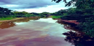 Abren “trochas” tras desbordamiento del río Amana en Anzoátegui