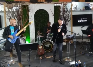 Old Foxes zorros en escena la revelación musical de la década