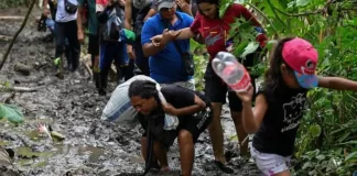 Venezolanos lideran el éxodo en el Darién con el 66 % de los migrantes