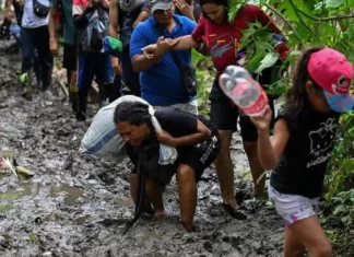 Venezolanos lideran el éxodo en el Darién con el 66 % de los migrantes