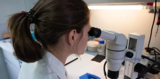 Desarrollan IA que detecta cáncer a escala Nanométrica