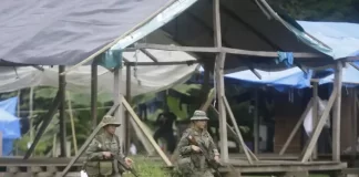 Desmantelan campamento clandestino en Darién
