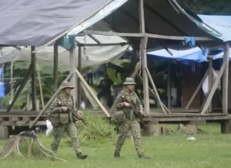 Desmantelan campamento clandestino en Darién