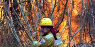 Bolivia declara desastre nacional por incendios en la Amazonía
