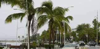 FAO alerta sobre impacto de La Niña y lanza plan de acción global
