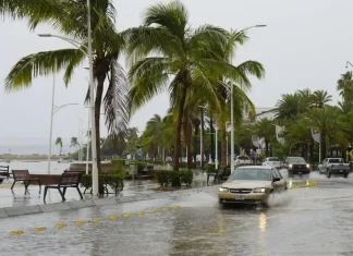 FAO alerta sobre impacto de La Niña y lanza plan de acción global