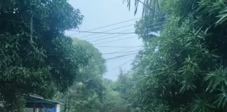 Lluvias en Altagracia de Orituco causan desbordamientos e inundaciones en varios sectores