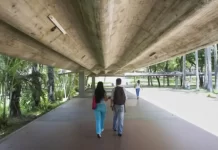 Reducción del 60% en la matrícula estudiantil en universidades Venezolanas