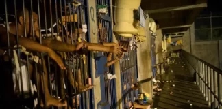 Foro Penal contabilizó 1.903 presos políticos durante la última semana de noviembre