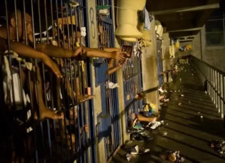 Foro Penal contabilizó 1.903 presos políticos durante la última semana de noviembre