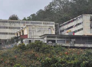 ONG de Venezuela pide la "libertad inmediata"