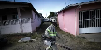 El dengue causa 46 muertes y más 24 contagios en Panamá