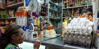 La canasta alimentaria para 5 personas alcanzó un aproximado de 530 dólares