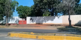 Liberados tres adolescentes detenidos por protestas en Guárico