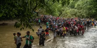 Migración por el Darién se reduce cerca de un 90 % en enero 2025