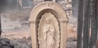 La Virgen intacta mensajes de fe en medio de las cenizas