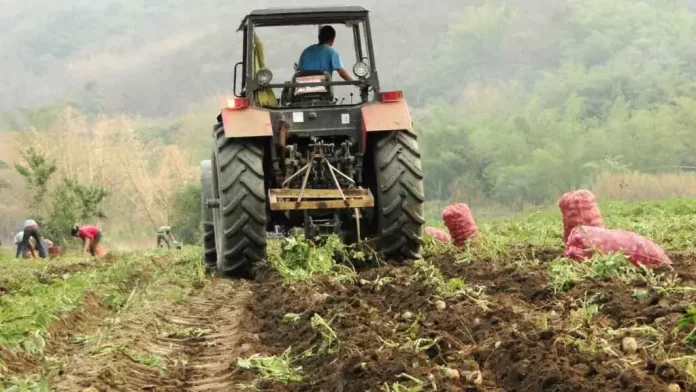 Fantinel pide reconsiderar precios del diésel y garantizar financiamiento para el sector agrícola