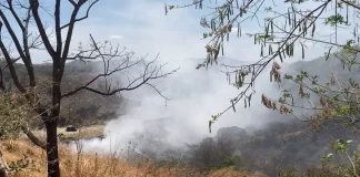 Humo Tóxico