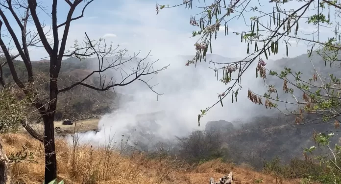 Humo Tóxico Humo Tóxico