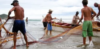 Pesca industrial paralizada en Sucre afecta a más de 10.000 empleos