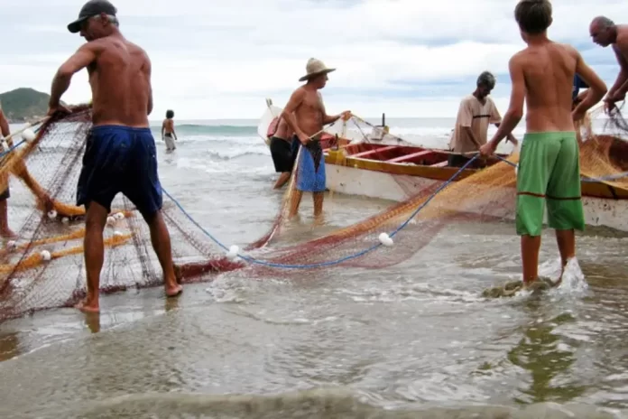 Pesca industrial paralizada en Sucre afecta a más de 10.000 empleos