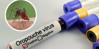 Venezuela en vigilancia epidemiológica tras detectar casos del virus Oropouche