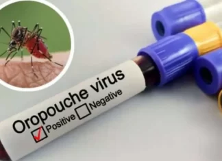 Venezuela en vigilancia epidemiológica tras detectar casos del virus Oropouche