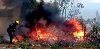 Incendios en el Hatillo arrasan 16 mil metros de vegetación