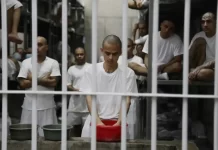 Bukele mantiene incomunicados a 252 venezolanos detenidos