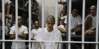 Bukele mantiene incomunicados a 252 venezolanos detenidos