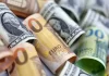 Lobo advierte que uso del euro impulsa la inflación en Venezuela
