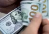 Polesel asegura que el consumidor impuso el uso del dólar